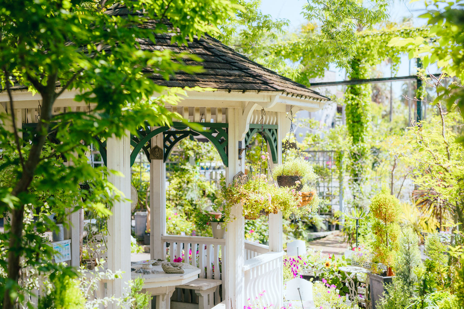 お店について - ガーデンフラワーショップ シャン・ド・フルール